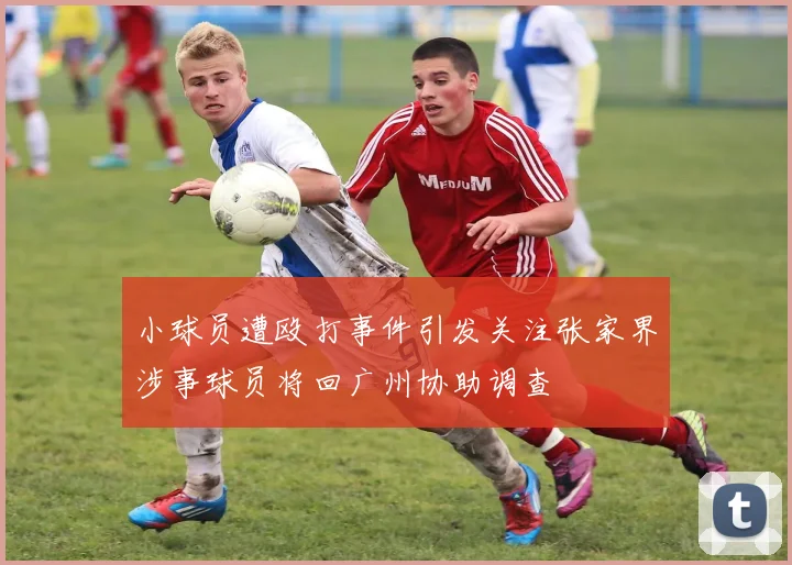 小球员遭殴打事件引发关注张家界涉事球员将回广州协助调查